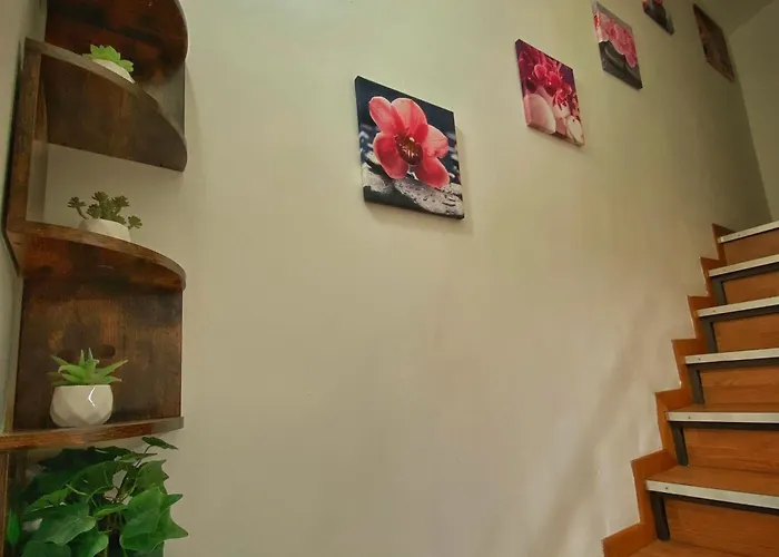Nicehouse