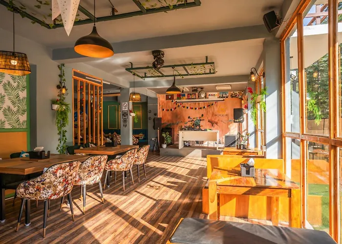 Pet Friendly hotel: Alt Life Manali, Old Manali