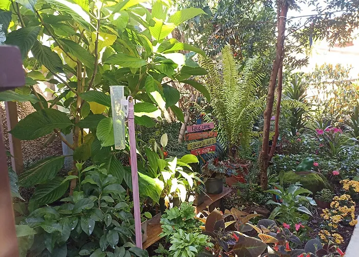 Suites Pico do Cristal