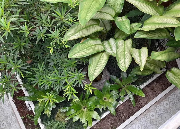 Panna Heritage Boutique Hotel - Sha Plus