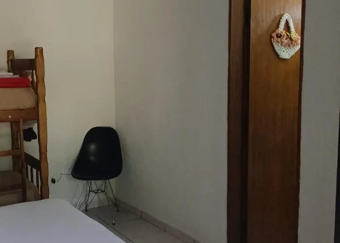 Cantos Da Mata