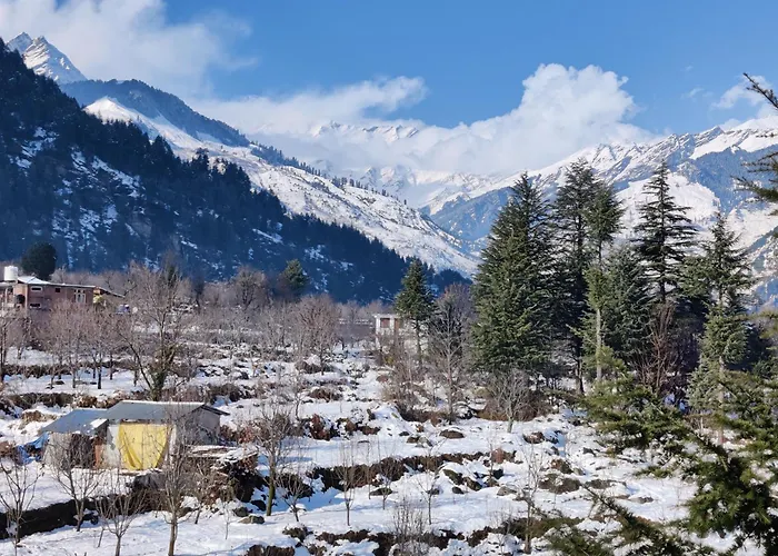 Hostel: Safar Hostel Manali