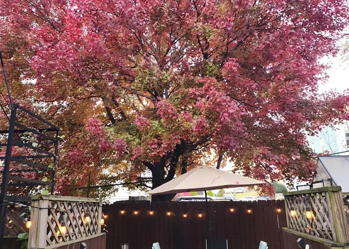 Magnolia Stay Near New York City