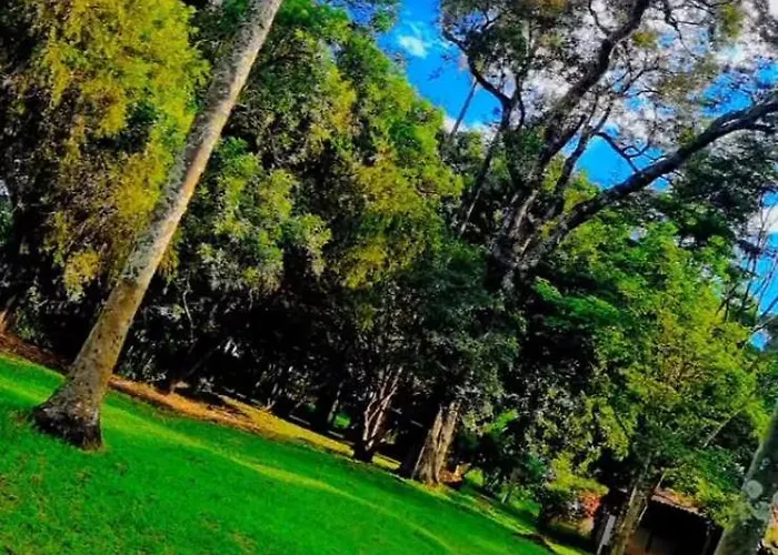 Área de camping Espaço Soul