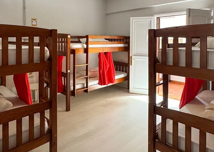 Tenerife Experience Hostel