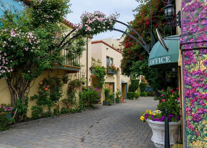 All Motels Marina
