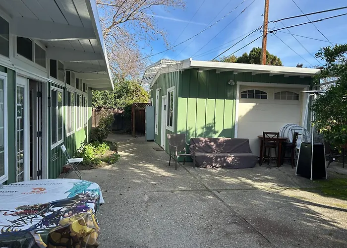 Olive Startup House