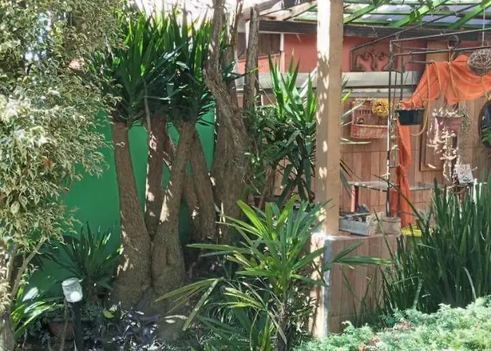 Casa aconchegante em Curitiba