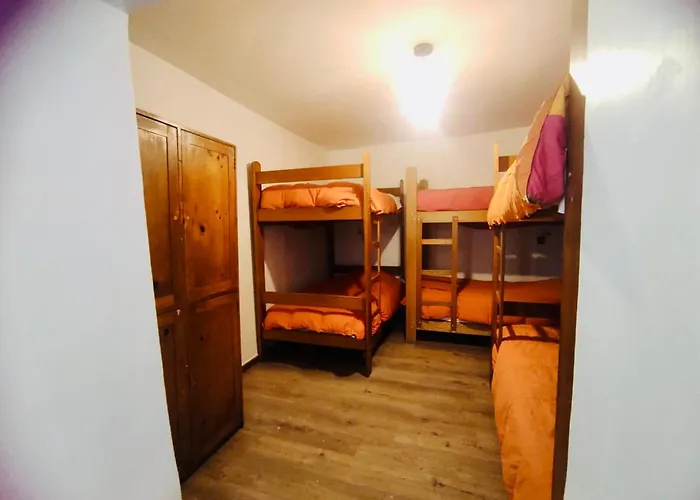 Hotel que admite mascotas: Flying Dog Hostel Cusco