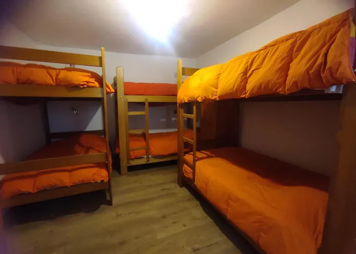 Hotel que admite mascotas: Flying Dog Hostel Cusco