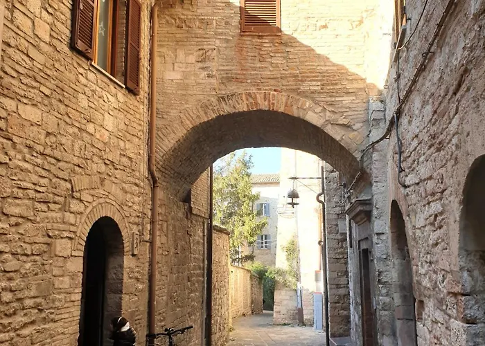  Meccoli
