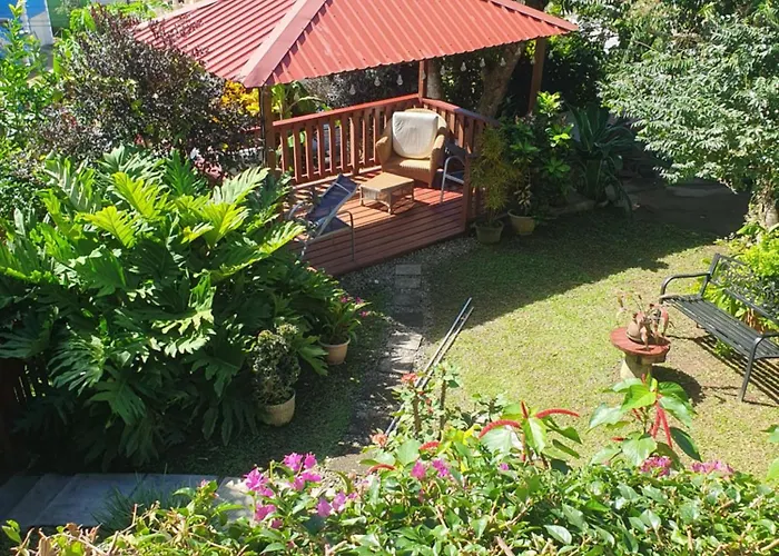 Cocoa Pod Studio