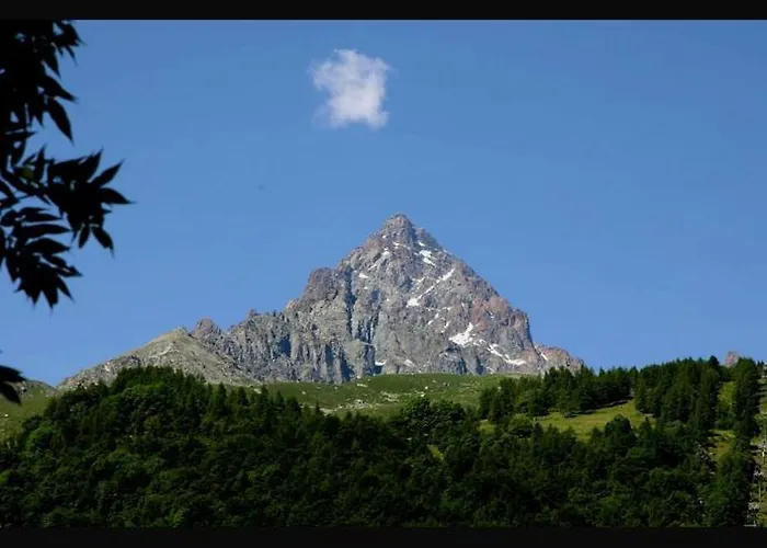 Il Verde