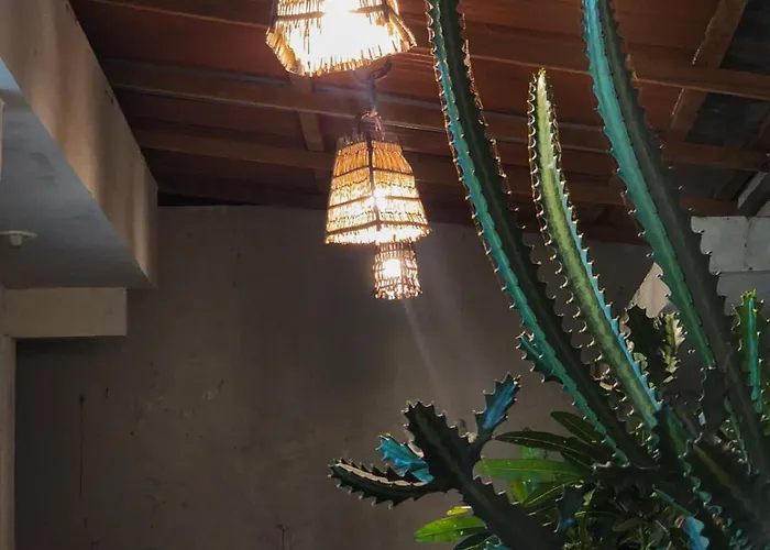 Pousada Cactus