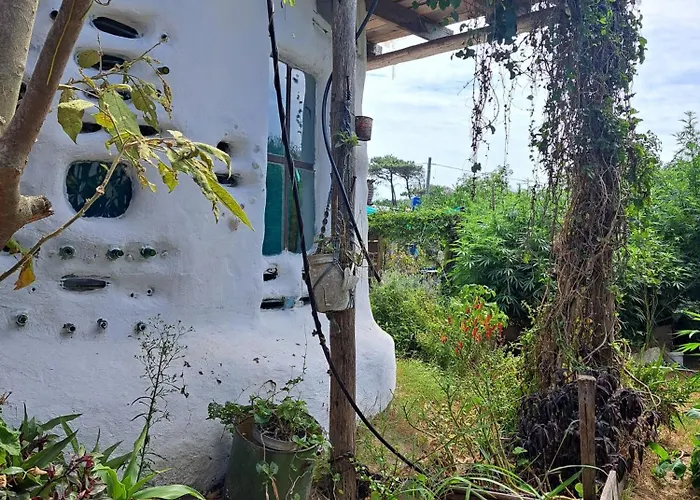 Baubo Ecocasa