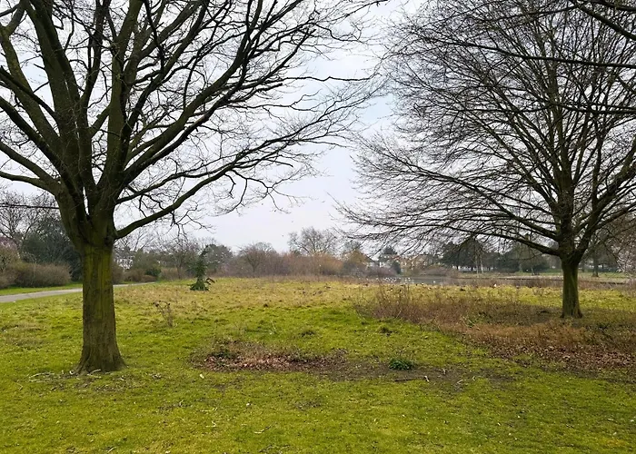 Park Stay