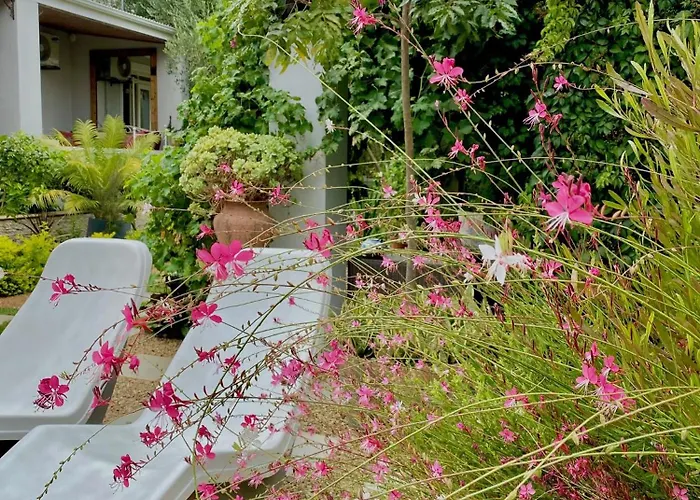 1 Royal Street Guesthouse