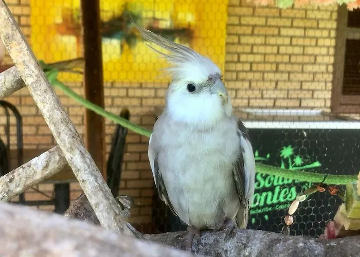 Pousada Solar das Fontes