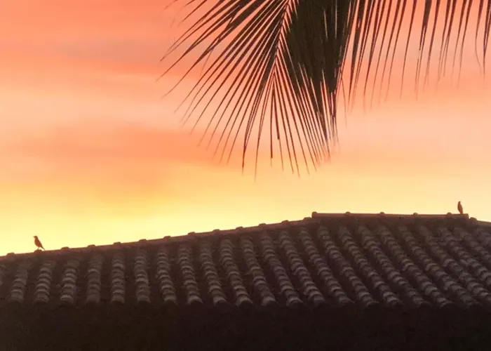 Conchas E Corais Suites