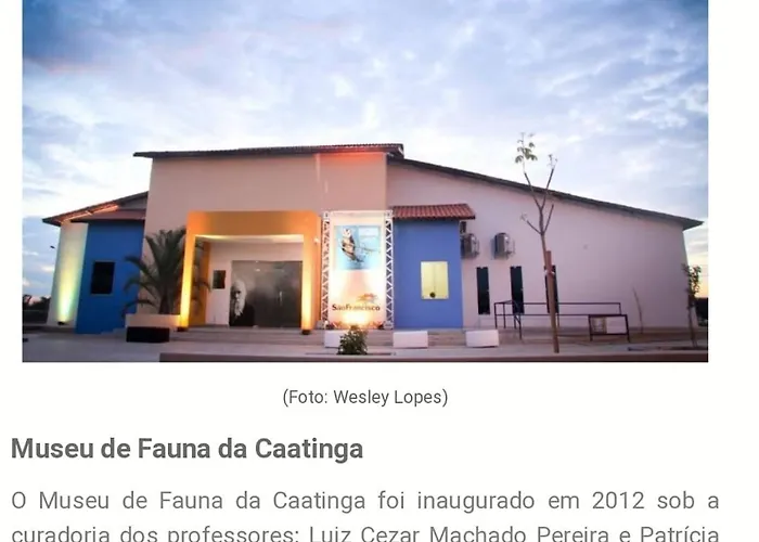 flet para temporadas