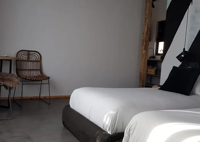 13 Suites