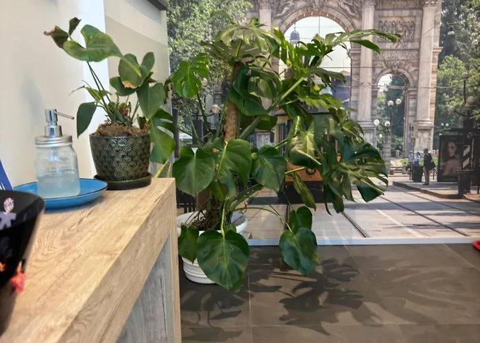 Enjoy Garden - Flavio Baracchini 9 - Rooms