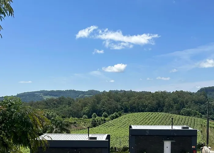 Vista Vigneti Albergo&Vino - Vale dos Vinhedos