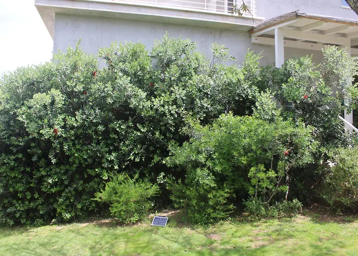 Hotel con vista: Lido Del Faro