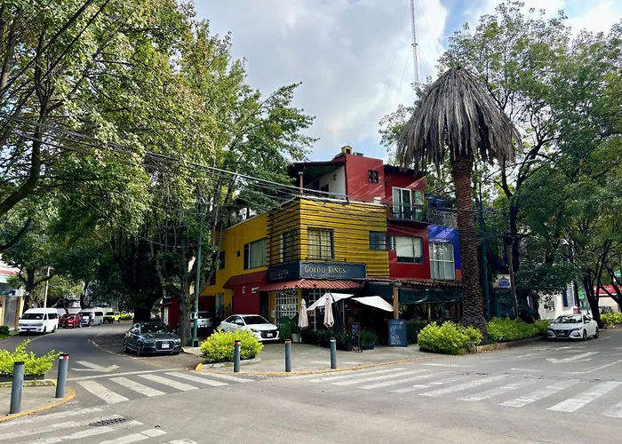 Collection O Casa Anzures Thematic, Mexico City