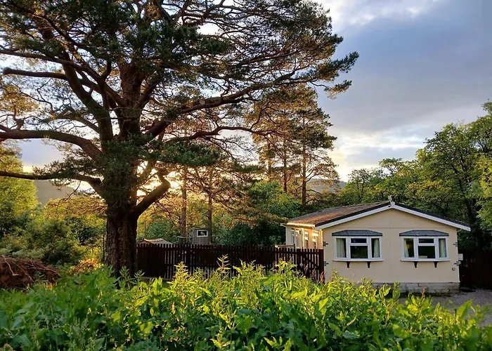 Pet Friendly hotel: Heart Of Glencoe Holidays