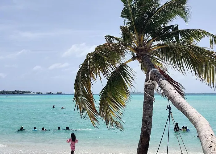 Palm Lagoon