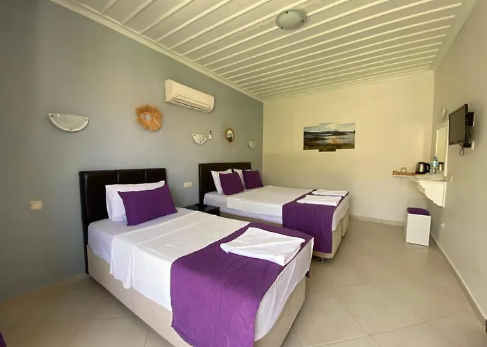 Suna House