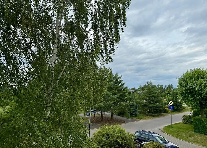 Lotta Autobus Na Targi Mtp, Darmowy Parking, Samodzielny Meldunek