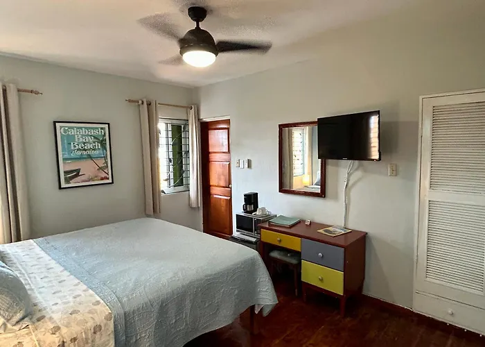 B&B only: The Blue Orchid B&B