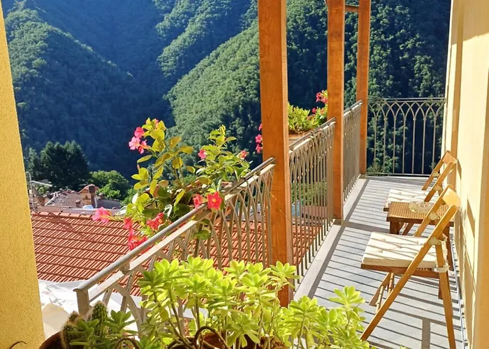L'Antico Asilo