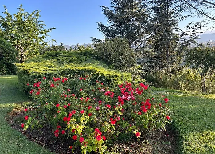 Villa Bellavista Luxury Suites