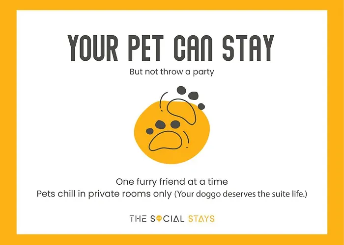 Pet Friendly hotel: The Social Stays Manali