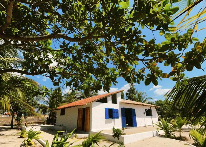 Savana House