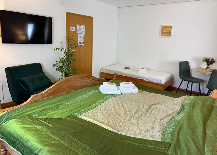 Rhein River Guesthouse - Direkt Am Rhein