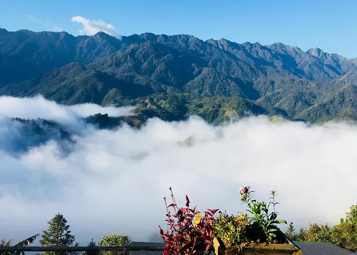 Mintu Home