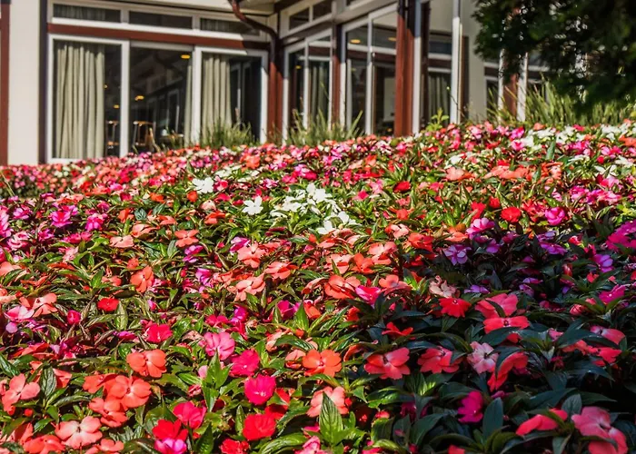 Hotel Vila Inglesa
