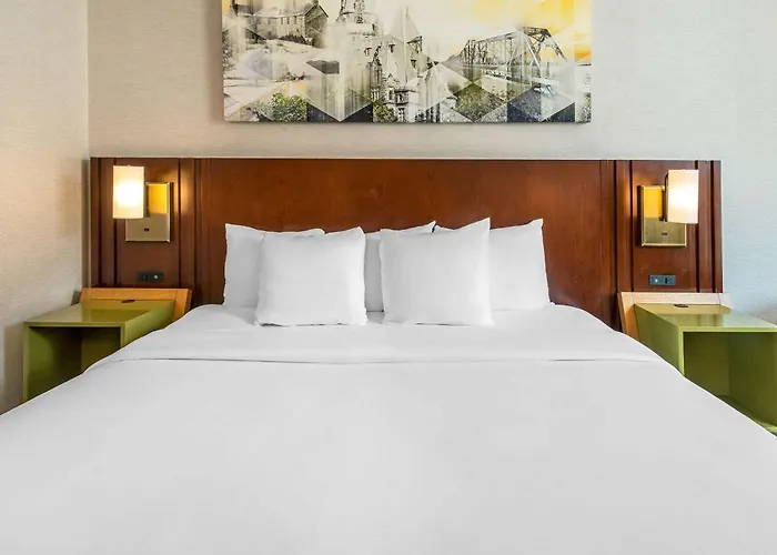 Family Hotel: Comfort Inn West