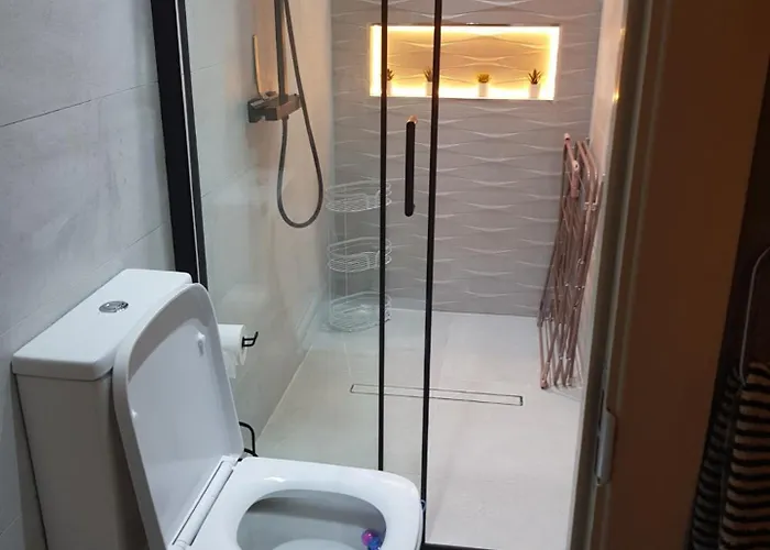A Very Nice Room With Private Toilet And Shower