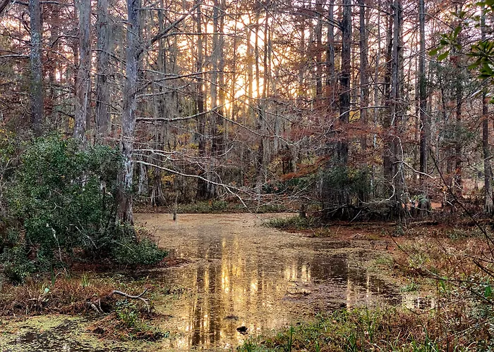 The Blue60 Marigny Inn