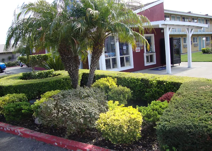Oasis Inn - Elk Grove