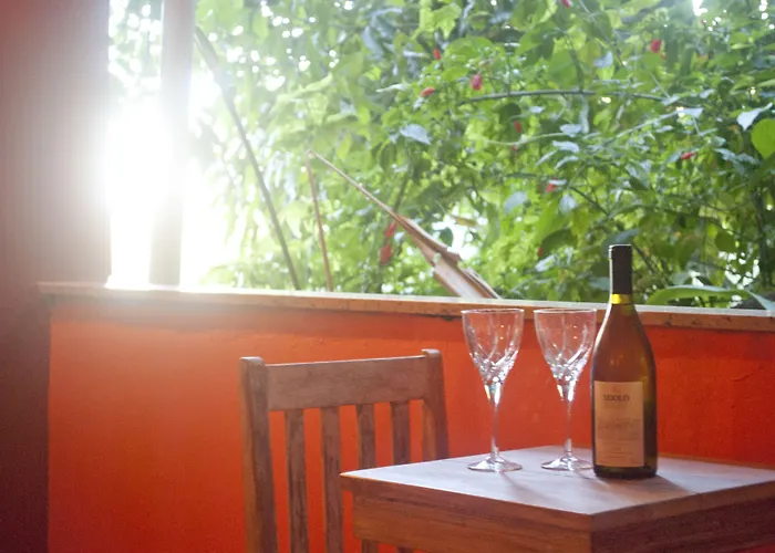  Boutique Gavea Tropical
