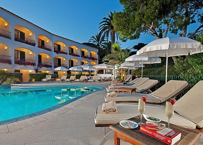 Pet Friendly hotel: Hotel Della Piccola Marina