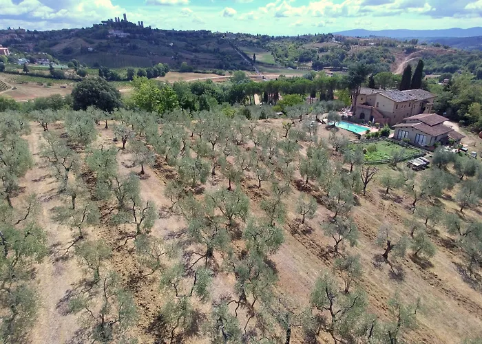 Hotel Con Piscina I Pini