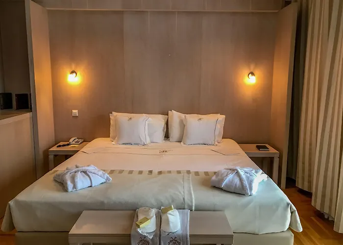 Hotel Satu Mare City
