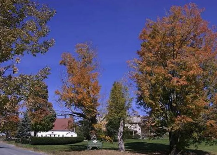 Village Suites